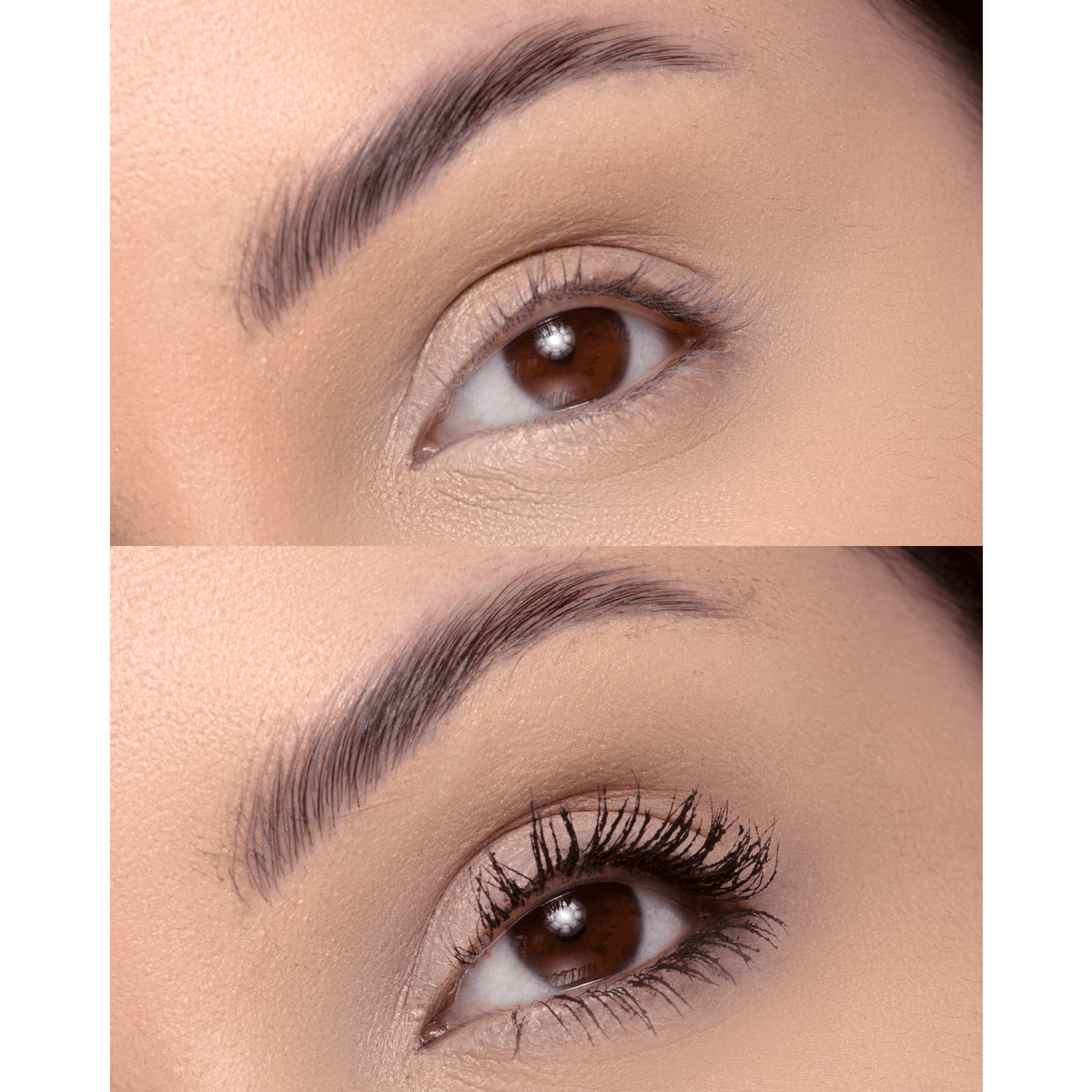 Disney 100 Dream Lashes