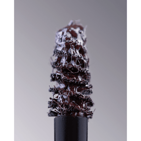 BT Lacebrow Dark Brown